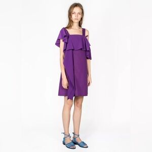 Dorothee Schumacher Visionary Voyage 2 Purple Cotton Poplin Dress NWT Size 3/L